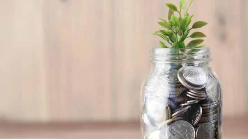 Savings jar with coins and a small plant