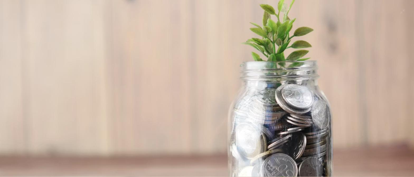 Savings jar with coins and a small plant